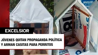 Jóvenes quitan propaganda política y arman casitas para perritos de la calle