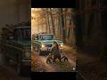 Viral Clip: Bear's Heroic Action to Protect Her Babies on the Road