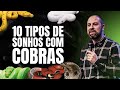 10 TIPOS DE SONHOS COM COBRAS 🐍 ( COBRA BRANCA, COBRA CORAL E OUTRAS )