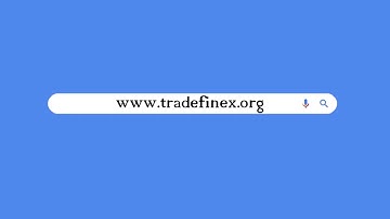 Become a Financier on TradeFinex Network | Explained