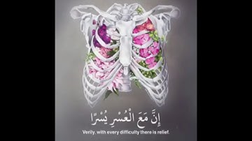 قرآن كريم [الم نشرح لك صدرك] اا أجمل حالات الواتس اب