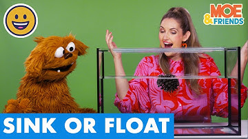 Funny SINK or FLOAT | Science Challenge for Kids | Collab with @musicwithmichal
