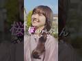 初対面でハッキリ言ってくる人どう思いますか?『桜のしゃしん』#日テレ #ショートフィルム #桜 #恋愛 #写真 #ショートドラマ #ドラマ #映画 #ドラマティッカー #まいはに