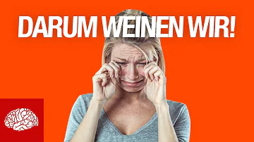 Ist es ungesund zu viel zu Weinen?