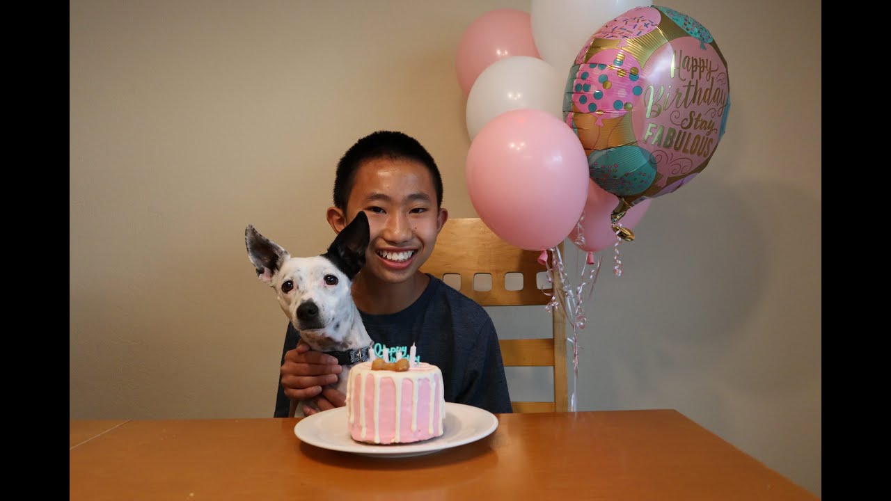 camera iphone 8 plus apk Oreo's 4th Birthday Celebration!!!