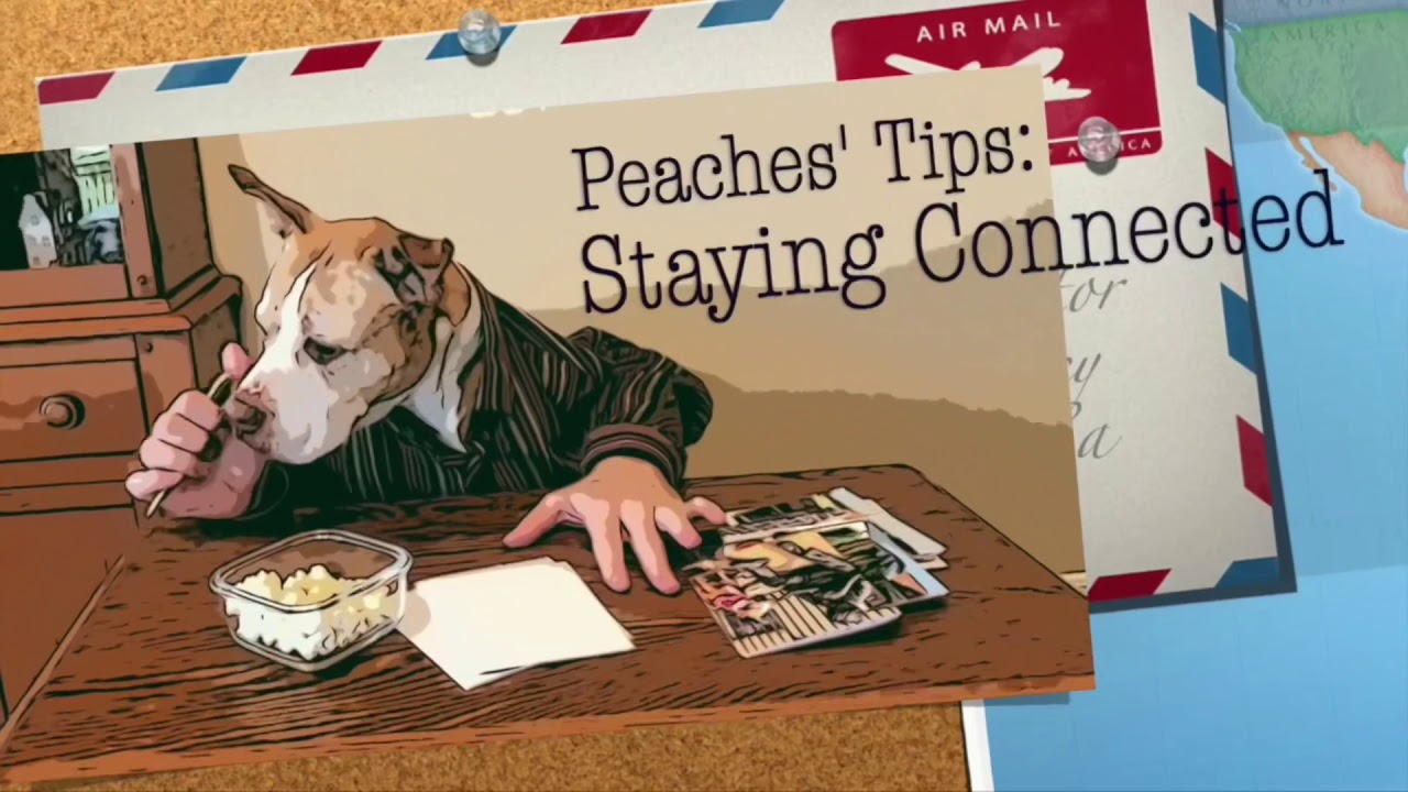 Peaches the Dog How to Stay Connected YouTube