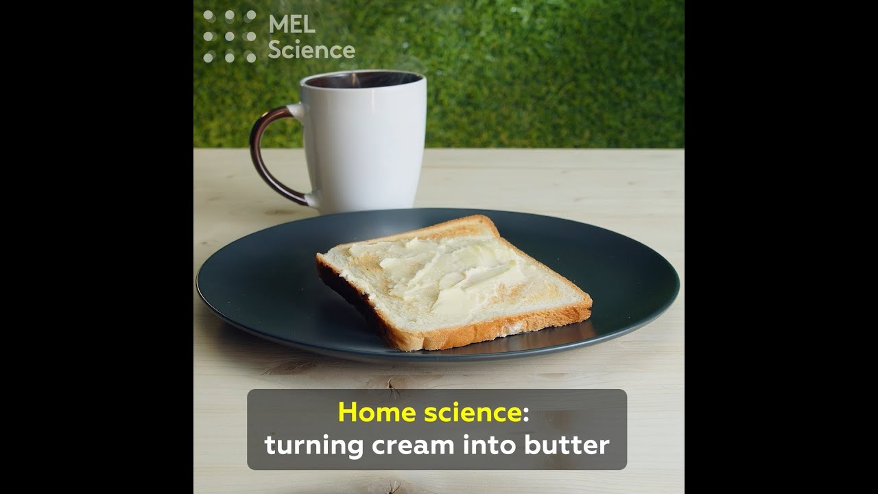 Home science turning cream into butter YouTube