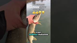 #рыбалка #рекомендации #юмор #fishing #fish #прикол #друзья #любовь