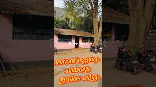 താറാവ് മുട്ട കിട്ടി 😋😋 #automobile #trolllife #minivlog #vlogger #wedding  #shortvideo