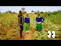 NG'WANIYENE - SHIKOLO ( OFFICIAL MUSIC VIDEO 2022 BY LUKU Mp3 Song