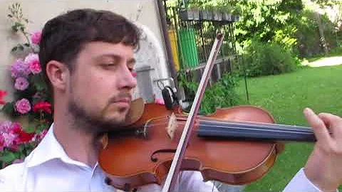 Tchaicovsky Waltz of the Flowers - Violin Cover By...