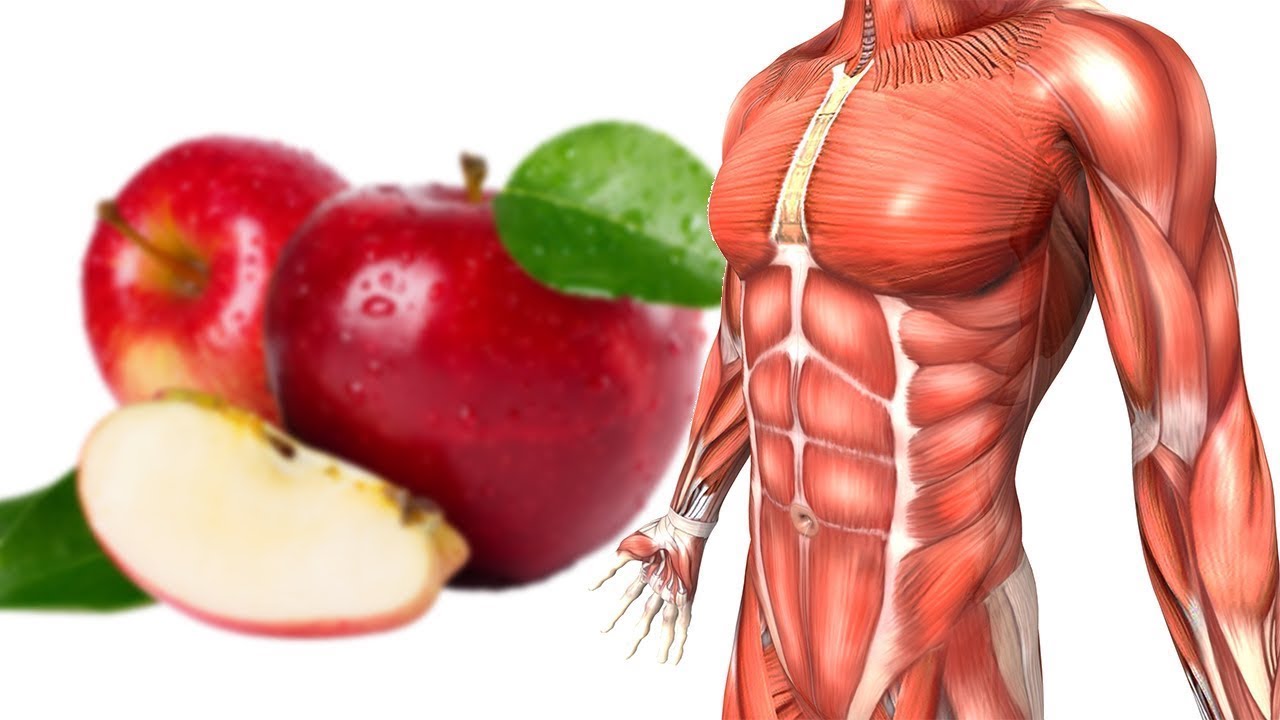 Que se passera t-il dans ton corps si tu commence à manger une pomme par jours ?