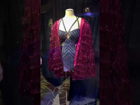Taylor Swift ‘The Eras’ Costumes  at Disney’s Hollywood Studios