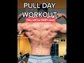 FULL PULL DAY WORKOUT (You will be VERY sore)! image