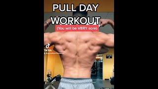 FULL PULL DAY WORKOUT (You will be VERY sore)! image