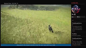 SHADOW OF THE COLOSSUS SPEEDRUN + NO DEATH(hard mode)  I HATE SONY