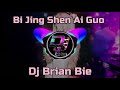 Bi Jing Shen Ai Guo 畢竟深愛過 Remix By Dj Brian Bie