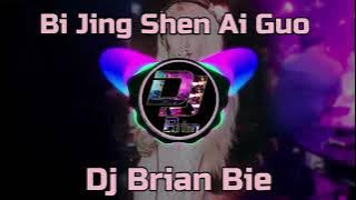 Bi Jing Shen Ai Guo 畢竟深愛過 Remix By Dj Brian Bie