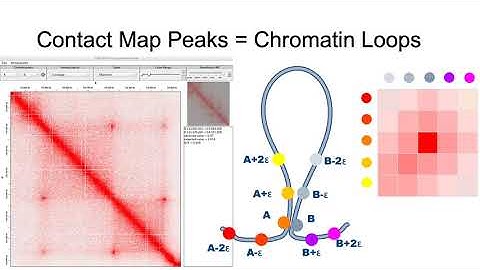 Intro to Juicebox on the Web Tutorial
