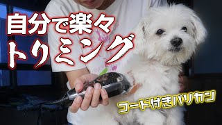 犬の散髪、お家でセルフカット&トリミング〜電動バリカンで簡単！素人です。