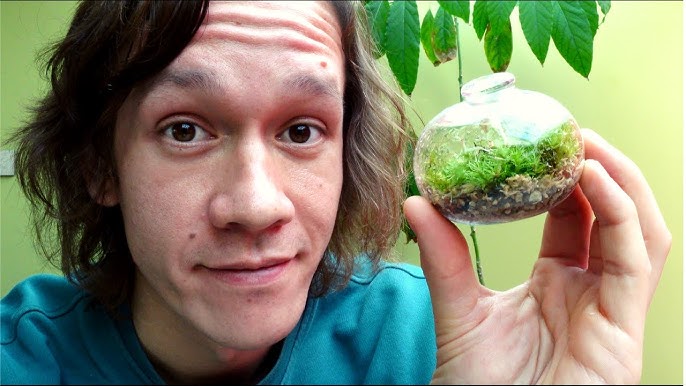 How to Make a Terrarium For Free: A Sustainable Guide – ome