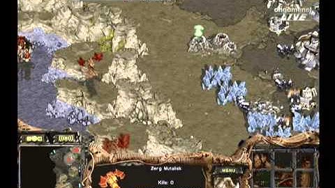 EVER2007 OSL  Light vs Jaedong 2007-11-30  @ Fantasy II