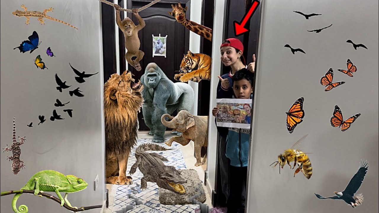 لما اخوك الصغير يفتح حديقة حيوانات متوحشه في البيت والدخول بفلوس وامك وابوك يقفشوا🦧|روان ستارز😍