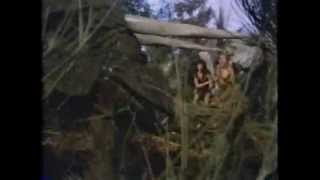 Yor, the Hunter from the Future (1983) - Twas Reb Brown who killed the dinosaurs
