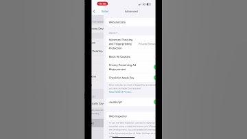 How to enable web inspector in safari browser #shorts #web #2024