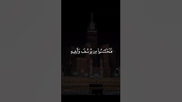 سورة يوسف من اية 86 إلى 87 بصوت الشيخ ياسر الدوسري