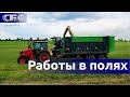 В разгаре весенние работы в полях! Посмотрите, как идет заготовка кормов в Беларуси