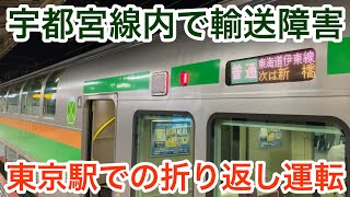 【宇都宮線との直通運転中止で普通 伊東 行の始発駅が小金井から東京へ変更】JR東海道線 E233系3000番台 横コツE-17編成+横コツE53編成「日立IGBT-VVVF+かご形三相誘導電動機」