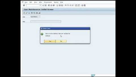 how to delete the user in SAP