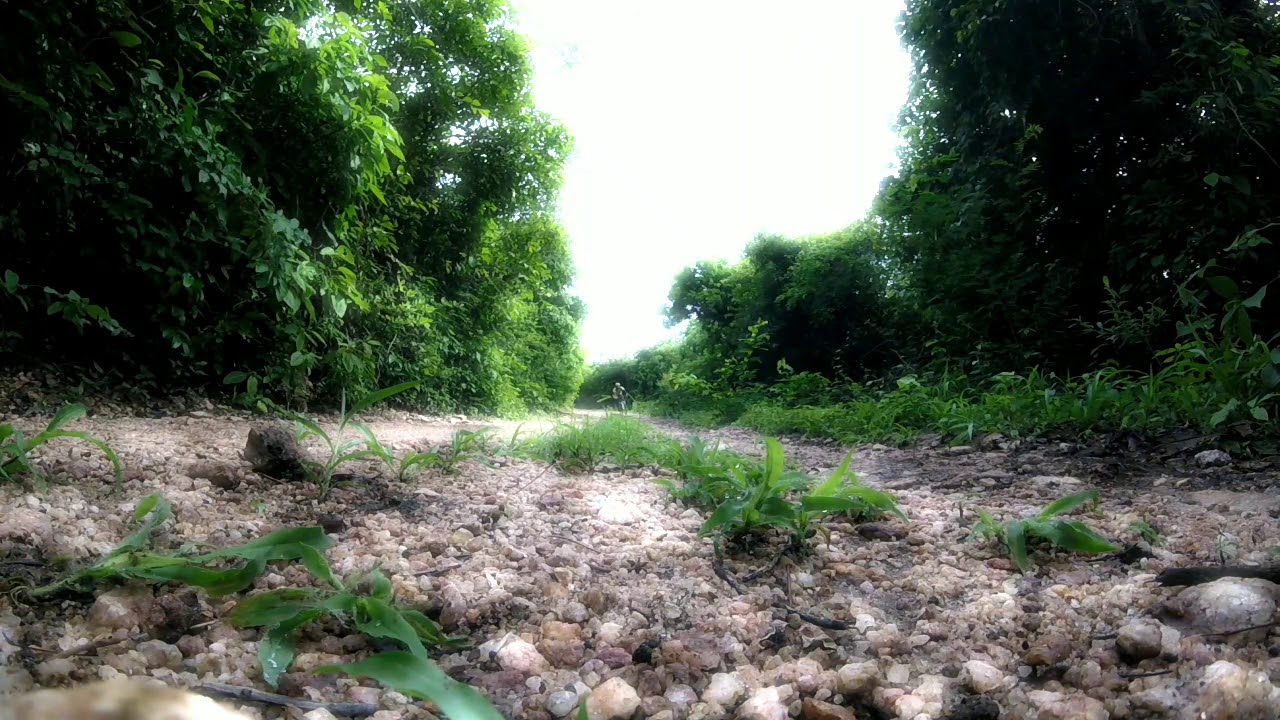 la vas quiri la vas quiri