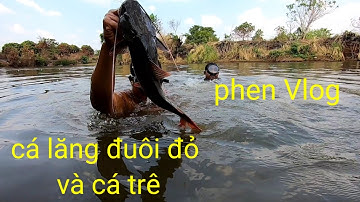 kéo lưới b.ắ.t cá suối mùa khô ở Tây Nguyên - Phen vlog