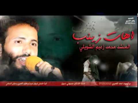 آهات مع موال حسيني يكطع الكلب