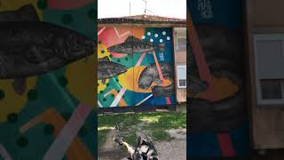Hidden art: city murals - Sisak 20 ... mural by Jadranka Lacković (ojoMAGico)