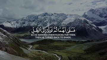 ﴿ فسقى لهما ثم تولى الى الظل ﴾ | تلاوة عطرة للشيخ ريان المحيسني 🤍