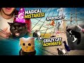FUNNIEST CAT MOMENTS COMPILATION😹🤣🤣