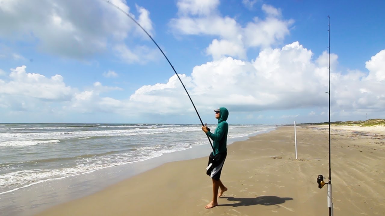 fishing for ugly critters at the beach - surf fishing 