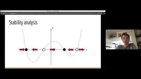 Brain Modelling Workshop 3: Bifurcations in Neural Dynamics and Cognition