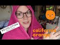 REVOLUTION TONES - CALIFORNIA ORANGE - HAIR DYE