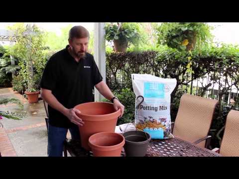 How to Choose the Right Pot and Soil for your Container Garden
