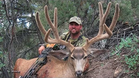 Nevada Archery Mule Deer Hunt - Colby Shepard - MossBack