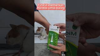 Tutorial Memberikan Microlax Untuk Kucing Yang Tdk Bisa Pup#cat#cats#kucingsakit#catvideos#microlax