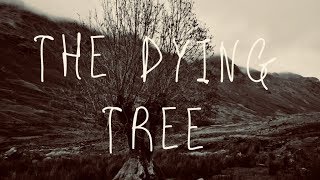 The Dying Tree. Instrumental Guitar Demo.