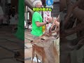 駅前の鹿さん