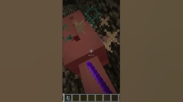 Killing Every Spawn Egg in Minecraft: Dolphin