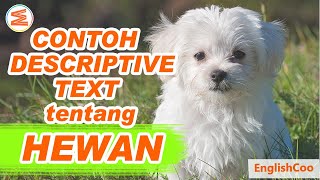 CONTOH DESCRIPTIVE TEXT TENTANG HEWAN PELIHARAAN ANJING (DOG) | Descriptive Text about Animal