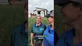 Terramar: Boost Crop Yield & Protect Plants! #shorts